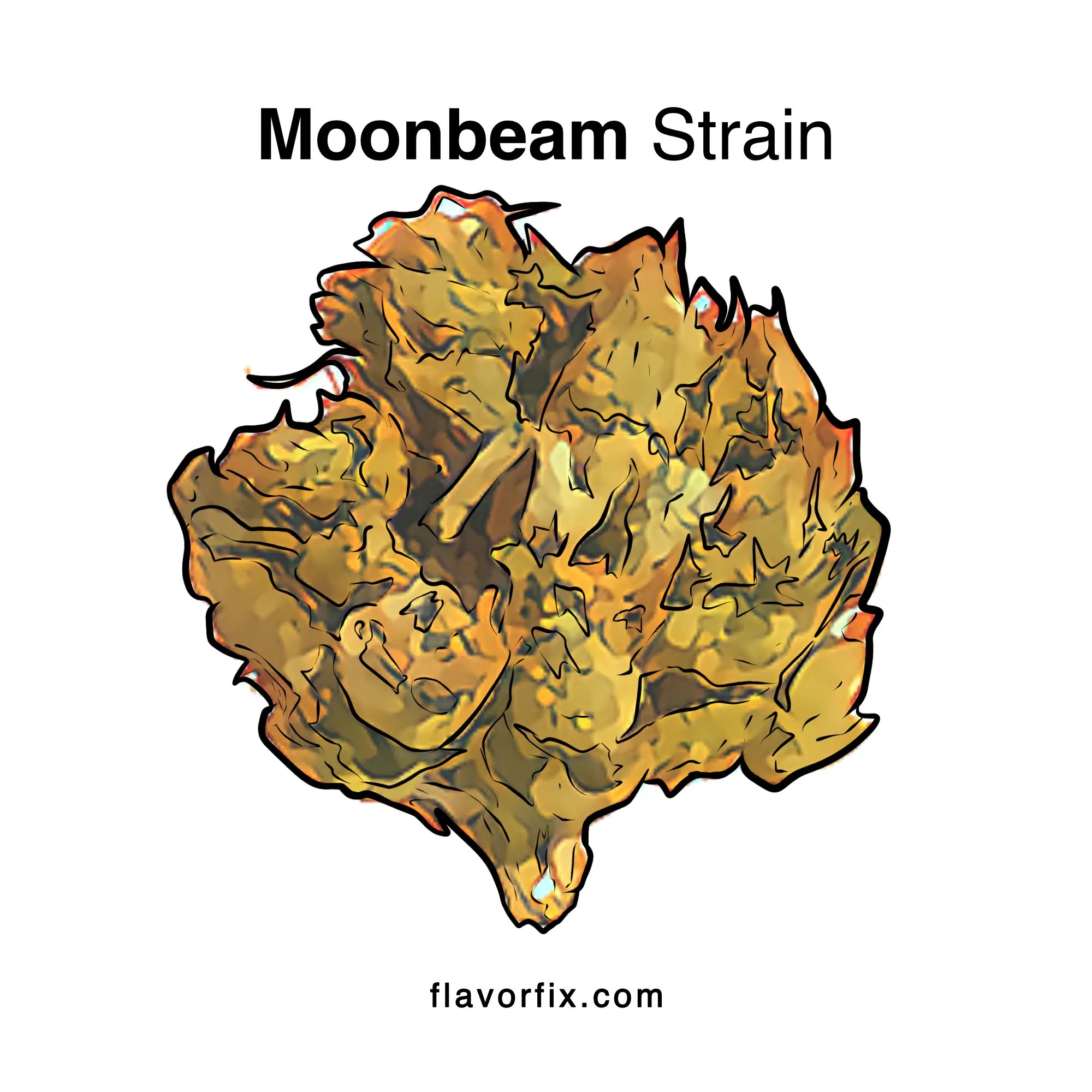 Moonbeam Strain Ratings Flavor Scale, Effects Flavor Fix