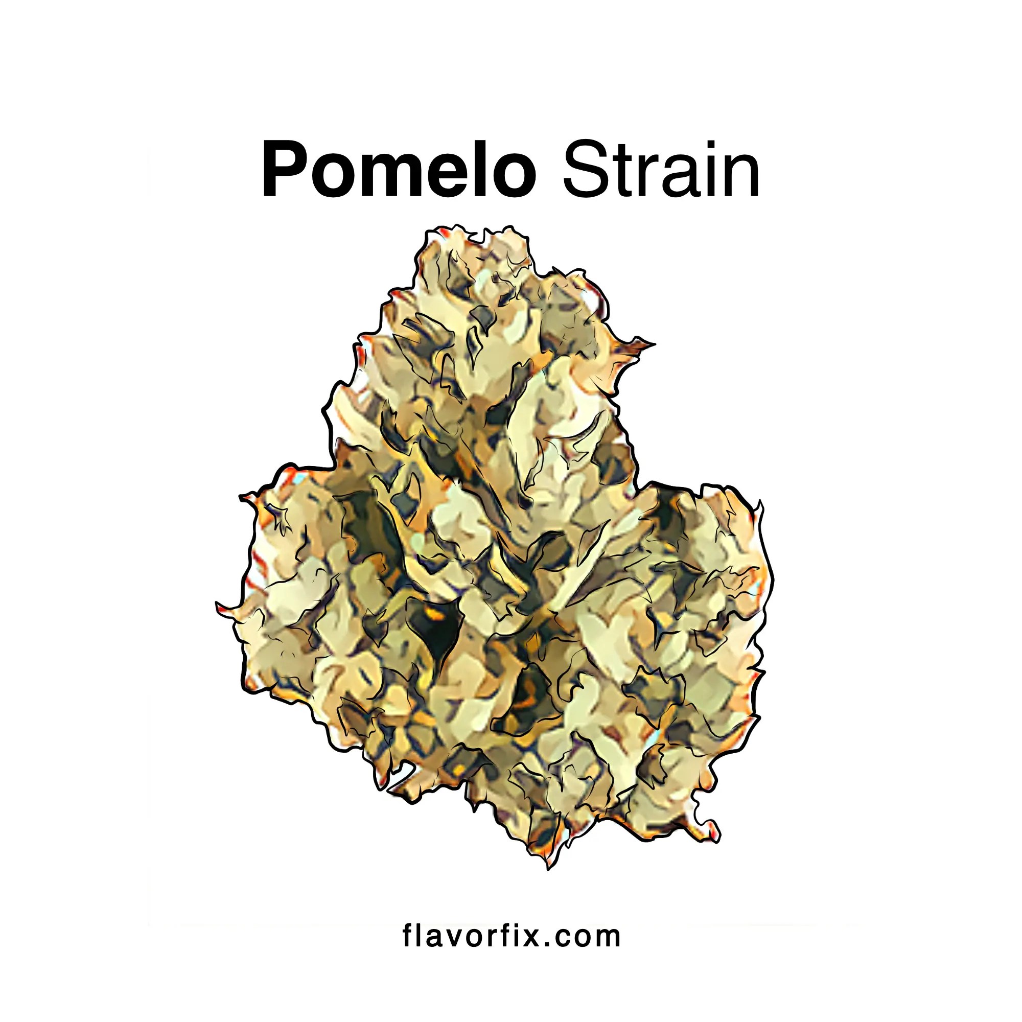 Pomelo Strain Cookies Cannabis Strain Information Flavor Fix