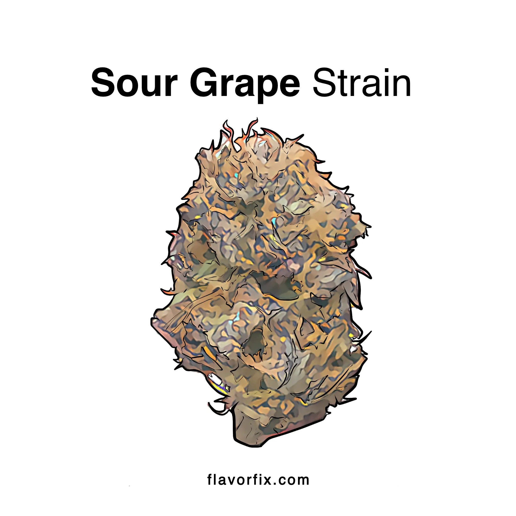 Sour Grapes Strain Cannabis Strains Info Flavor Fix