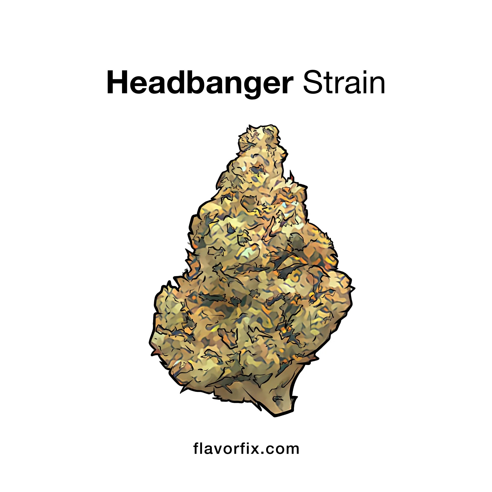 Headbanger Strain Headbanger Reviews & Rating Flavor Fix