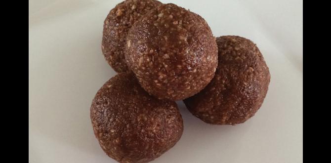 functional chocolate bites with macadamia and cacao functional chocolate bites with macadamia and cacao