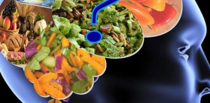 functional foods and cognitive function