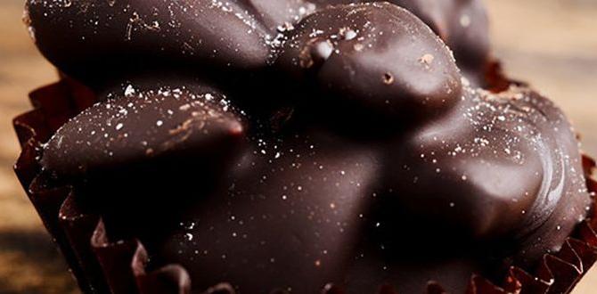 functional nut clusters with dark chocolate drizzle functional nut clusters with dark chocolate drizzle