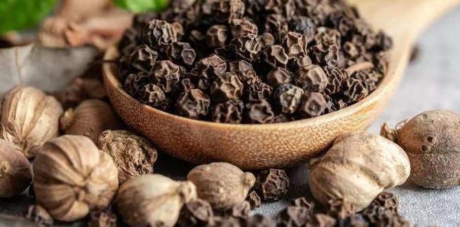 functional sauces with immunity boosting spices