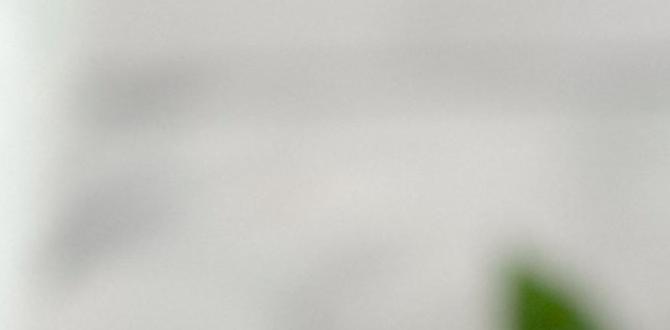 functional sparkling drinks with lime and spirulina functional sparkling drinks with lime and spirulina