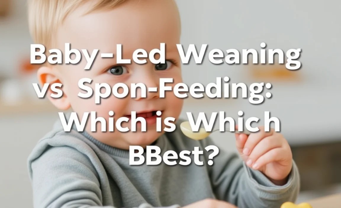 Exploring Spoon Feeding