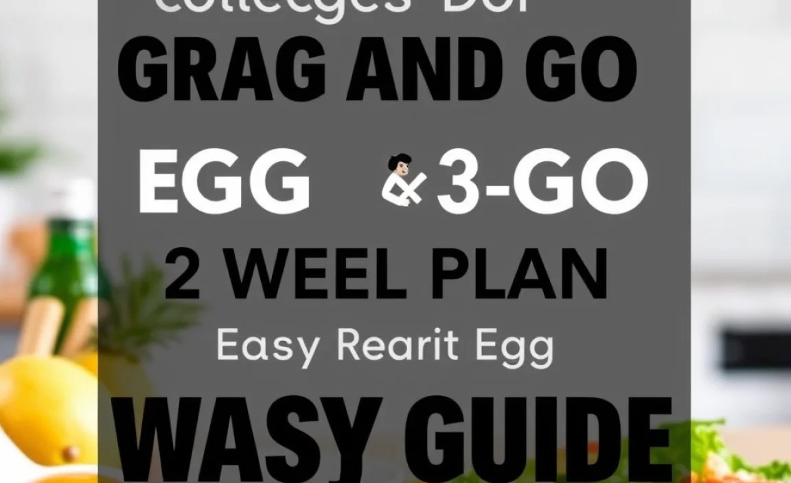 Dorm Friendly Recipes without Eggs