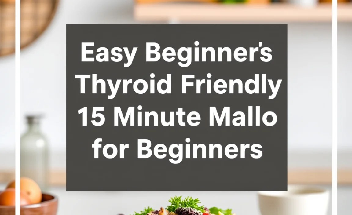 Macro Meal Plan for Beginners