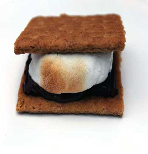 Chocolate Graham Cracker Nutella Smores Recipe Flavorite