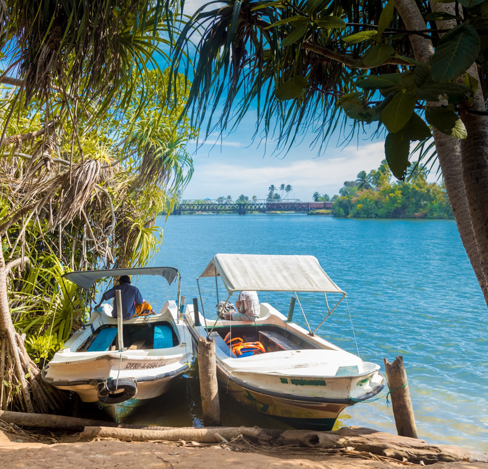 Home Flavours of Ceylon pvt ltd.Flavours of Ceylon pvt ltd.