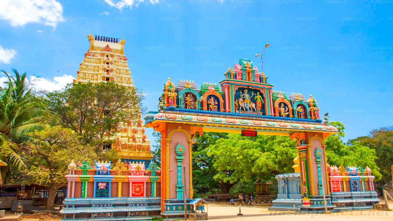 Home Flavours of Ceylon pvt ltd.Flavours of Ceylon pvt ltd.