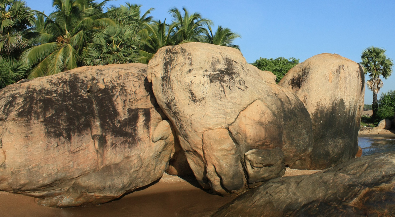 Home Flavours of Ceylon pvt ltd.Flavours of Ceylon pvt ltd.