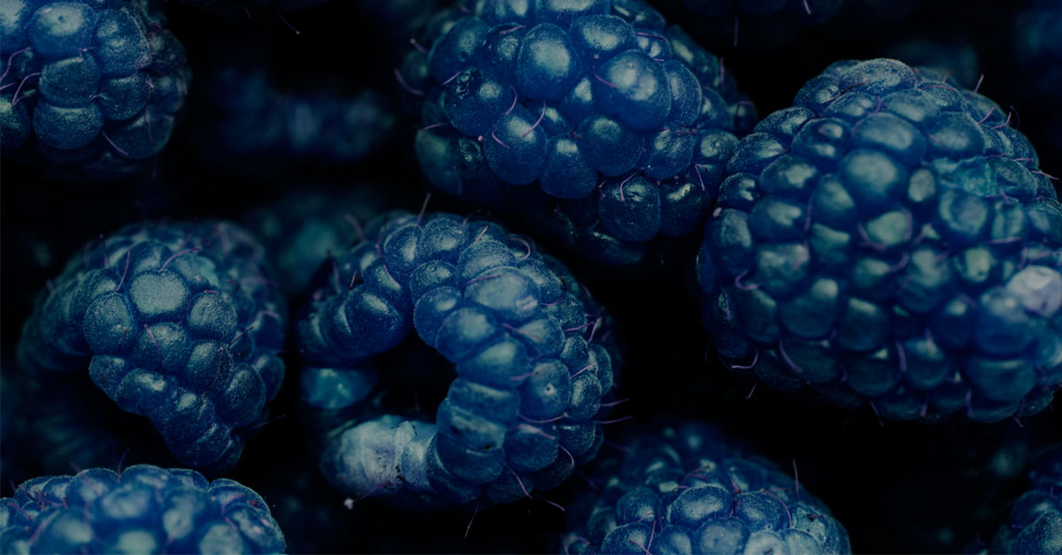 Blue Razz OneShot Flavours To Go