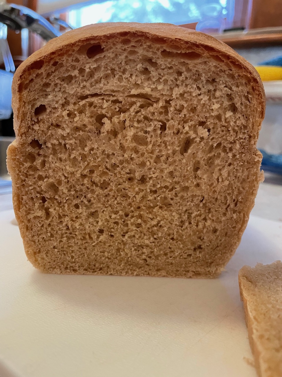 Honey Whole Wheat Bread and Rolls FlayRah