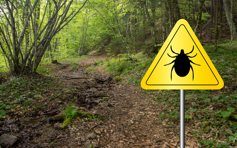 Florida Lyme Disease Association