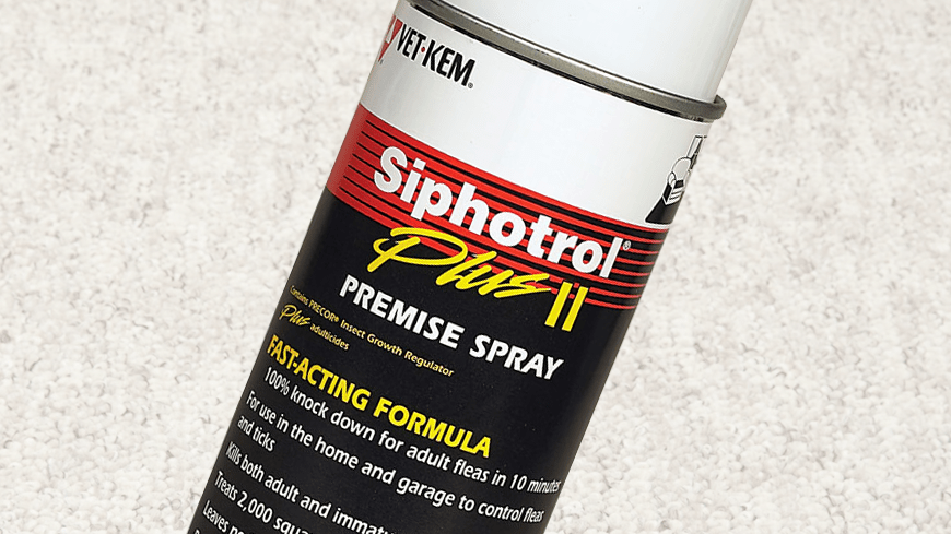 Best Flea Spray for Homes & Carpets FleaScience