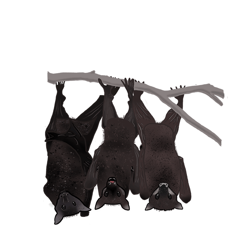 batgif Fleet Farming