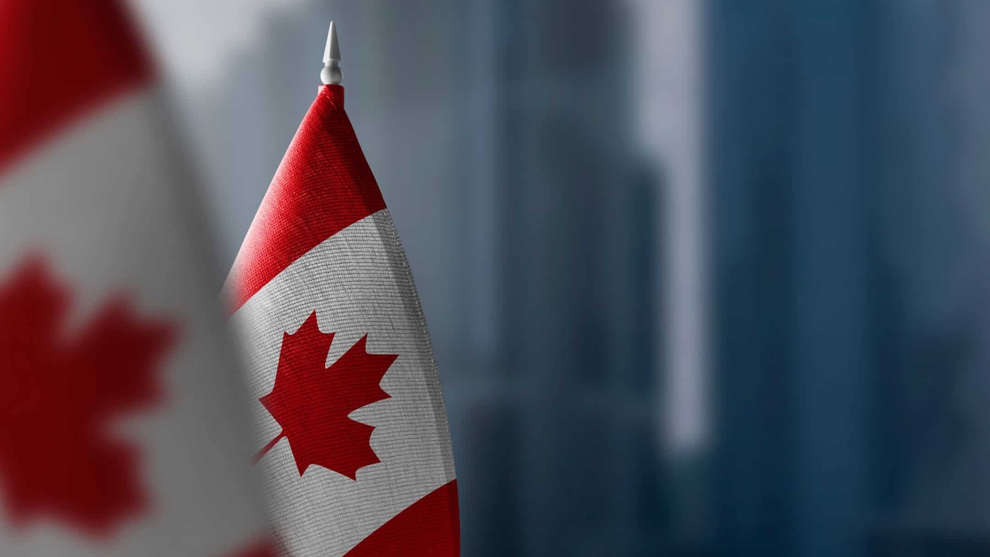 FleetOptics Inc Empowering Efficient Fleet Management