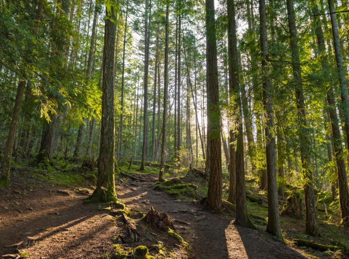 Sustainability v2 FleetOptics Inc.