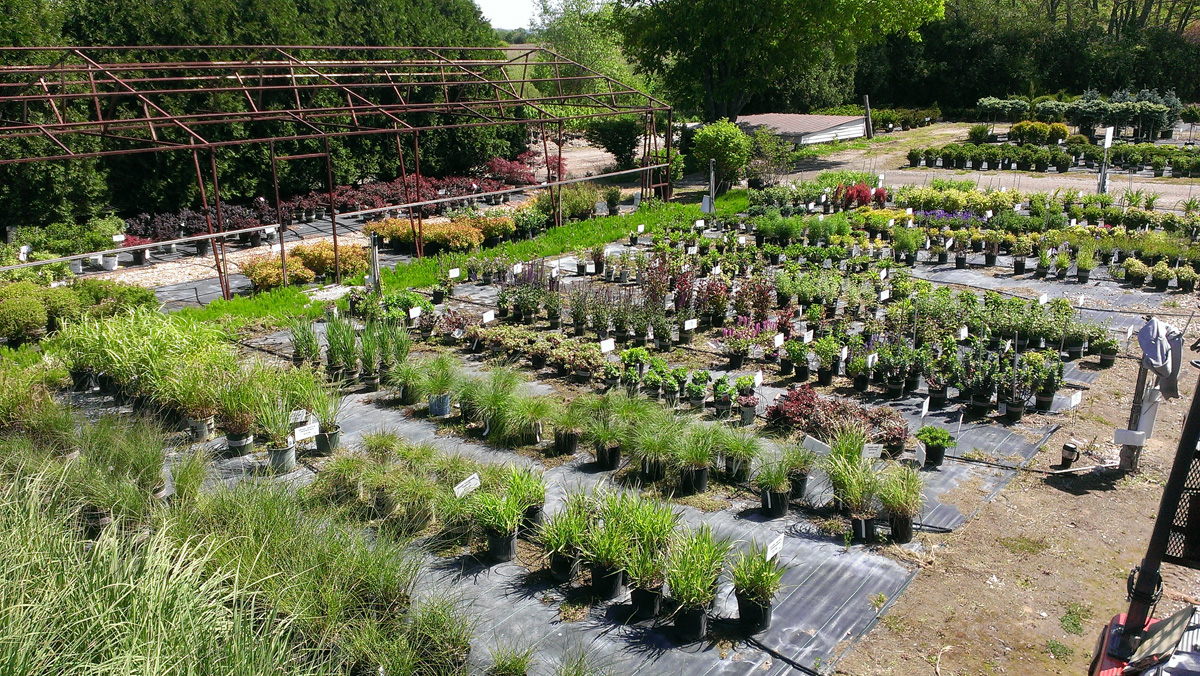 Gallery Fleming Nursery
