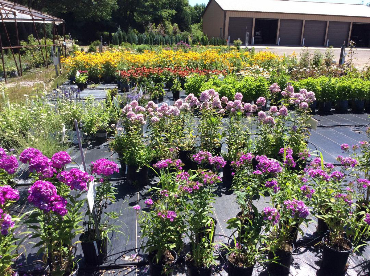 Gallery Fleming Nursery
