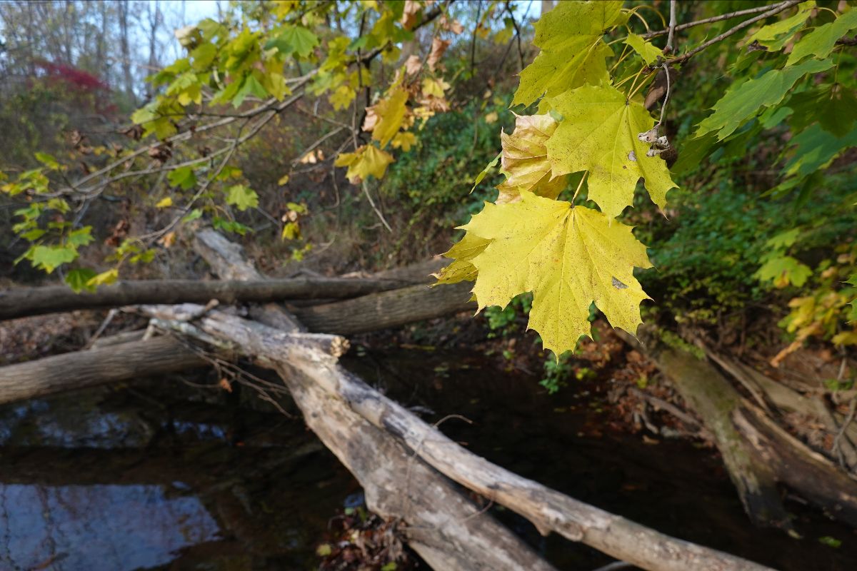 A Friendly Reminder Flemington United Methodist Church