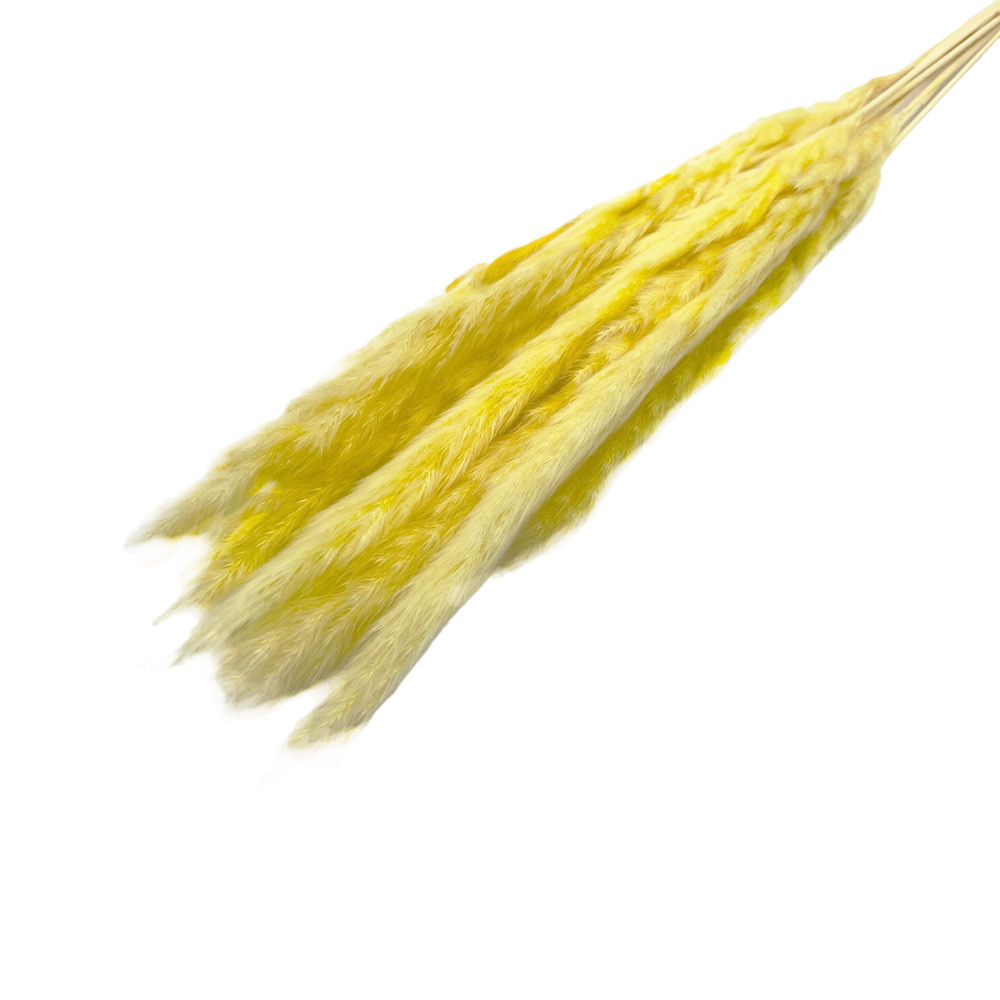 Pampas grass baby fluffy ανοιχτό ροζ δέσμη 7 τμχ Fler.gr