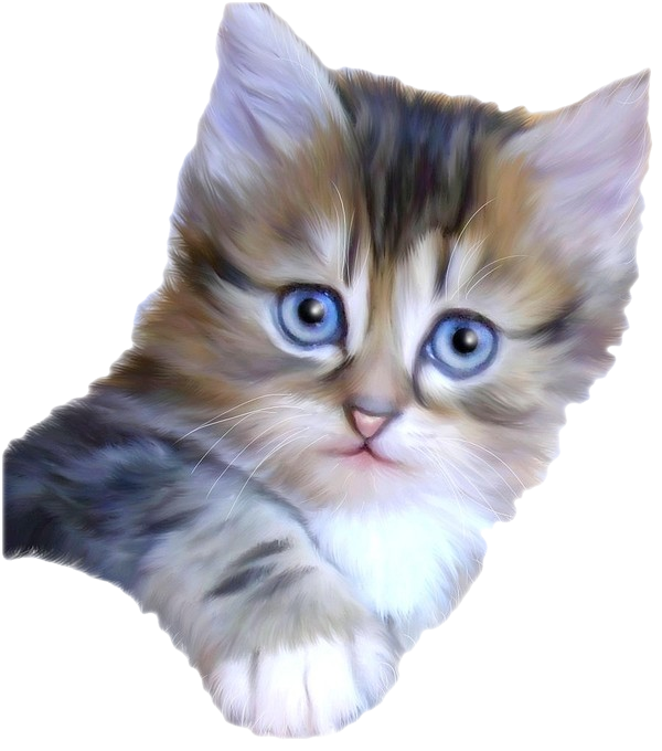 tube chat chiens et animaux domestiques