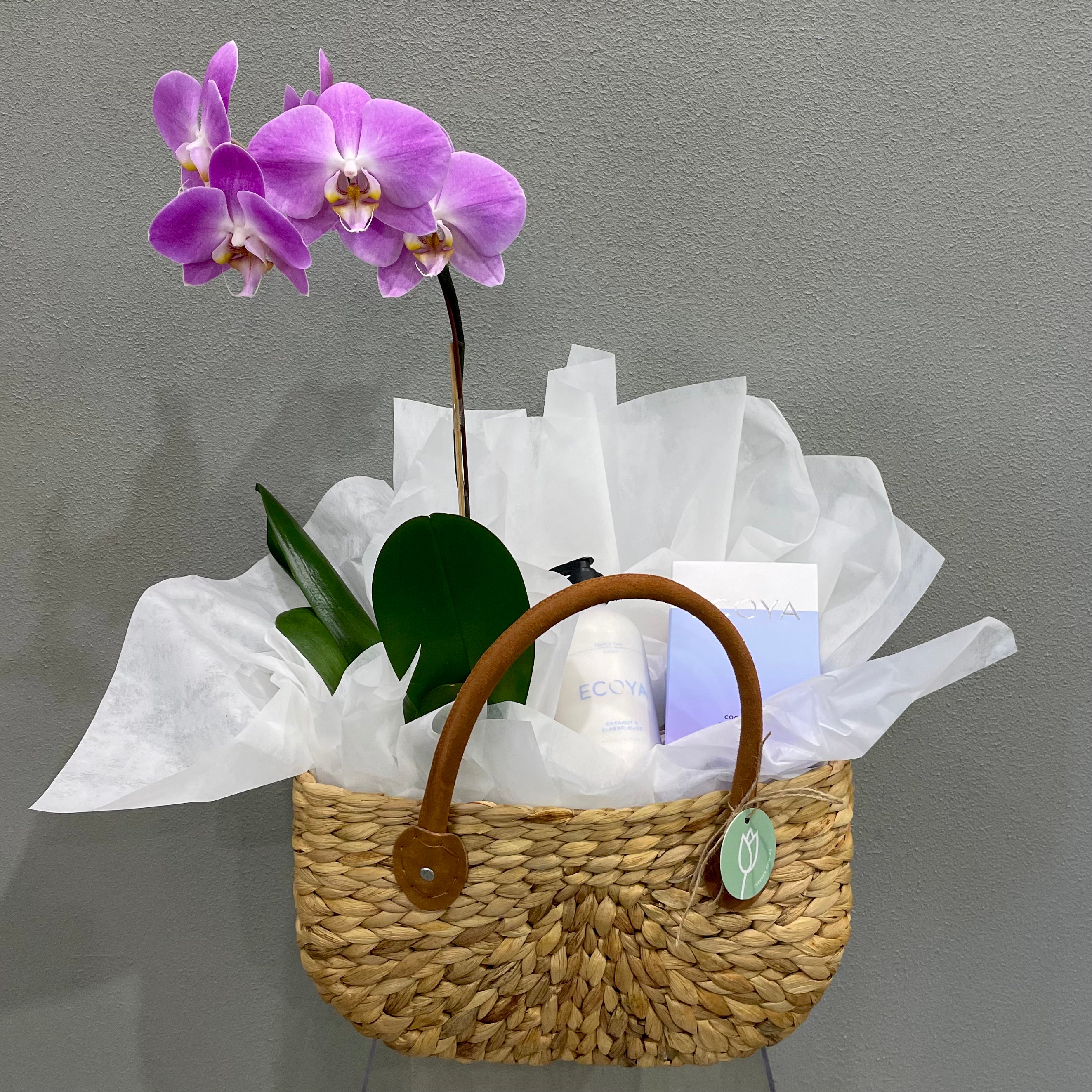 Orchid Gift Basket Fleurus