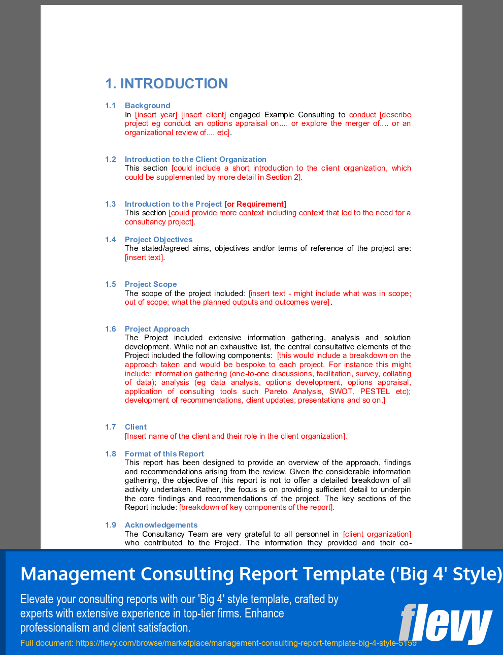 Mckinsey Consulting Report Template