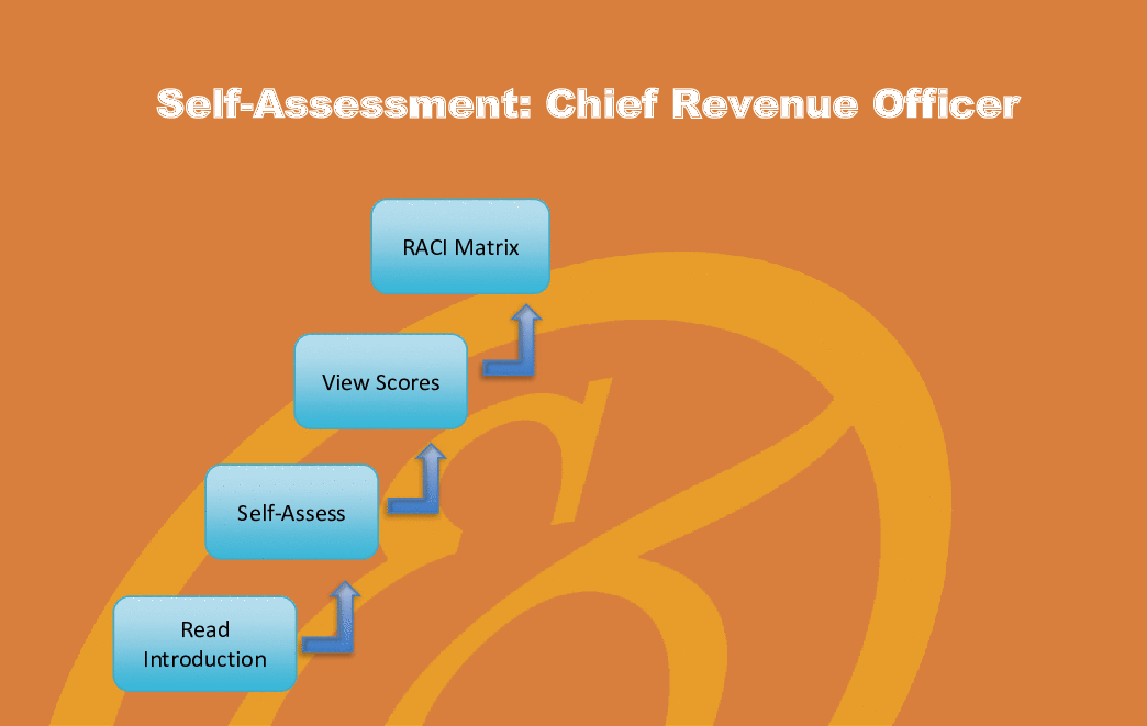 Excel Template Chief Revenue Officer (CRO) Implementation Toolkit