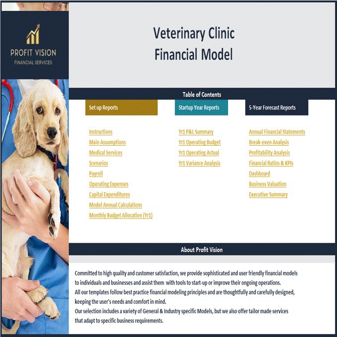 Excel Template Veterinary Clinic Financial Model 5 Year Forecast