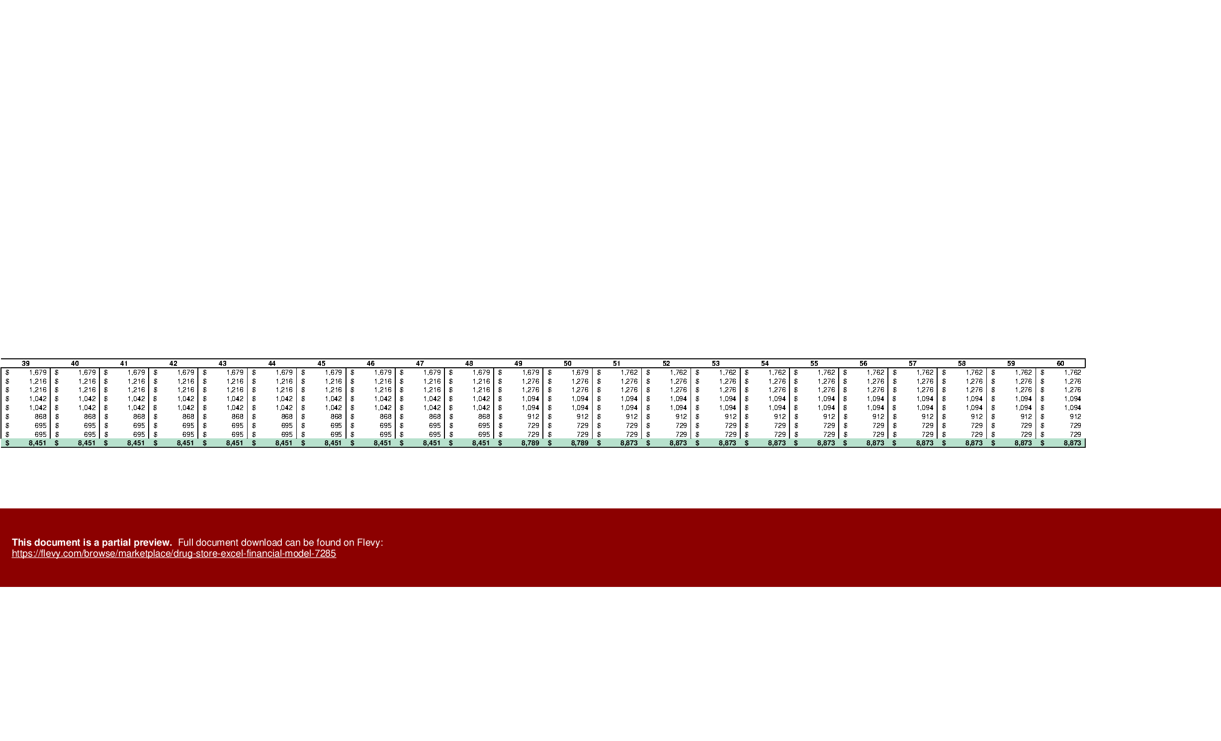 Excel Template Drug Store Excel Financial Model (Excel template XLSX