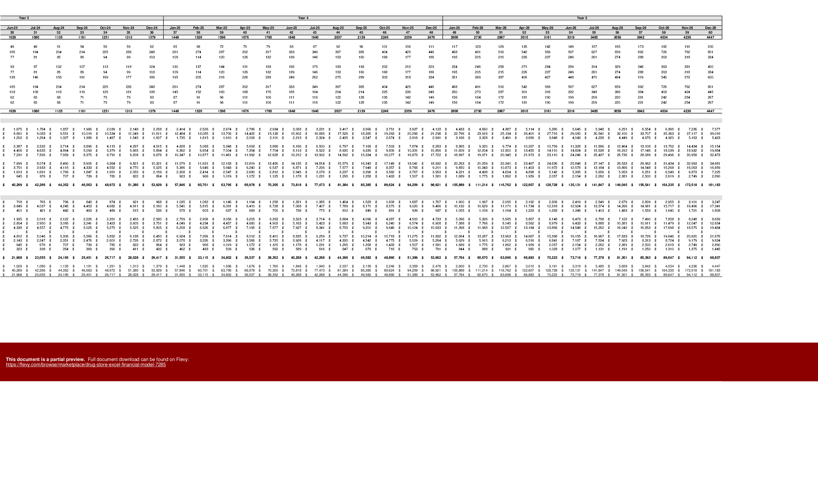 Excel Template Drug Store Excel Financial Model (Excel template XLSX