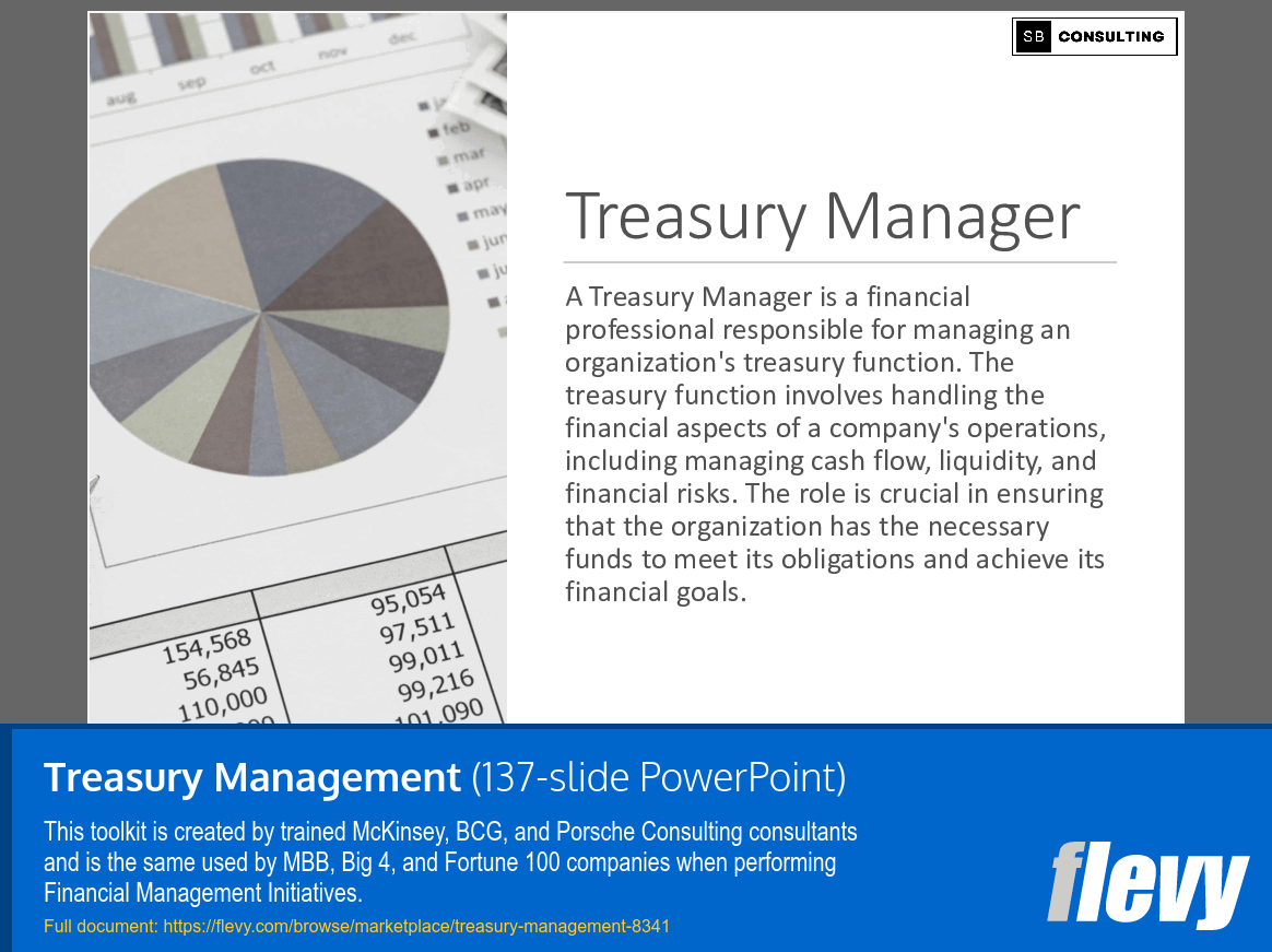 Treasury Management PPT Slide Deck(04)