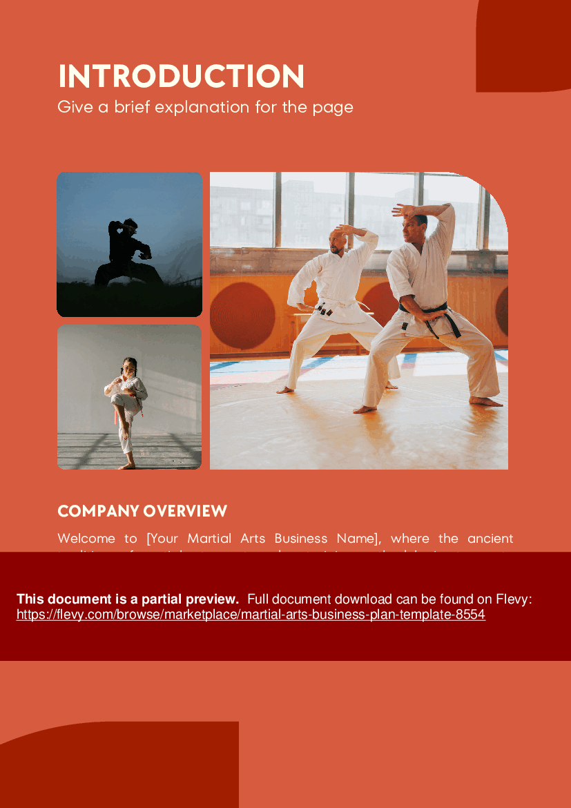 PDF Martial Arts Business Plan Template (43page PDF document) Flevy