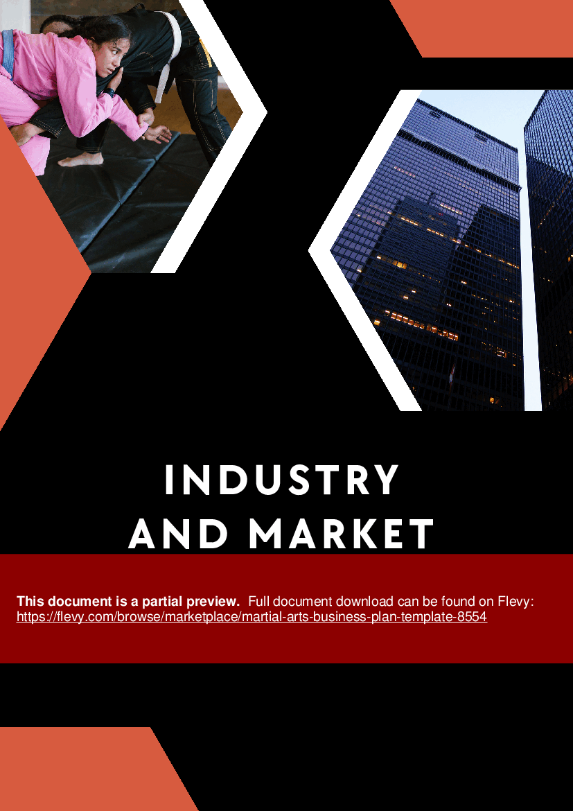PDF Martial Arts Business Plan Template (43page PDF document) Flevy
