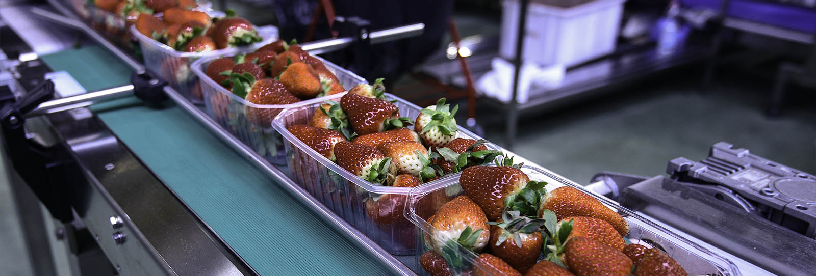 Flexco South Africa EN