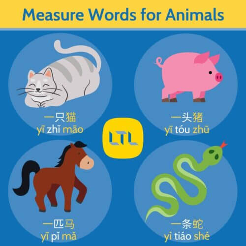 Chinese Measure Words (with Audio & Video) A Complete Guide