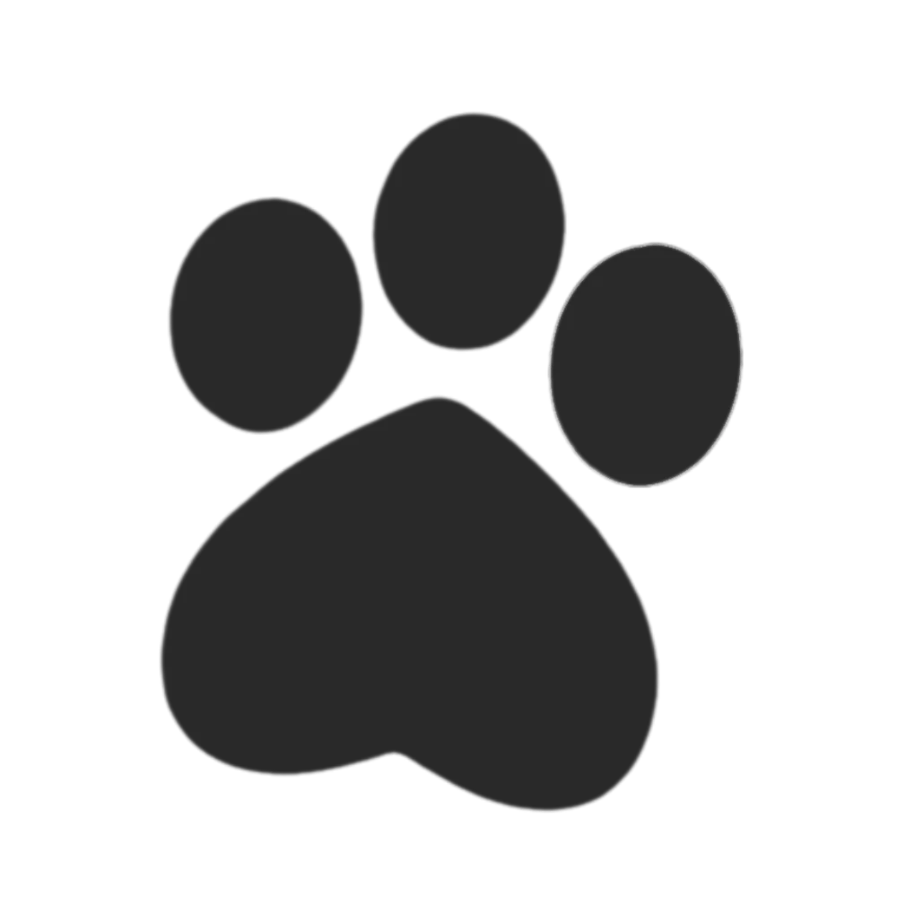 Essential Tips for New Dog Owners A Comprehensive Guide (2024) FlexiPaw