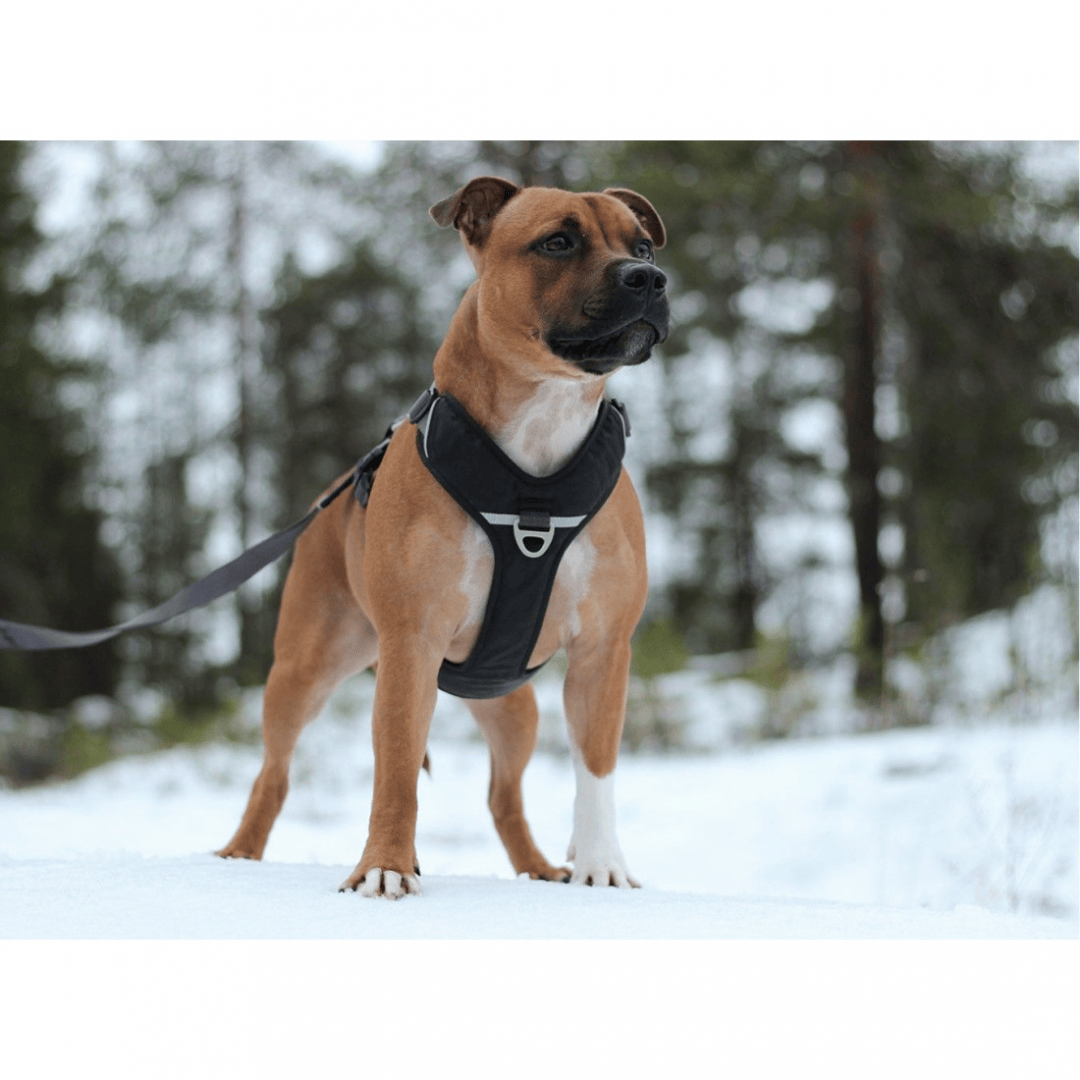 Arnés comfort Walk Pro DOG Copenhagen Flexipets.es