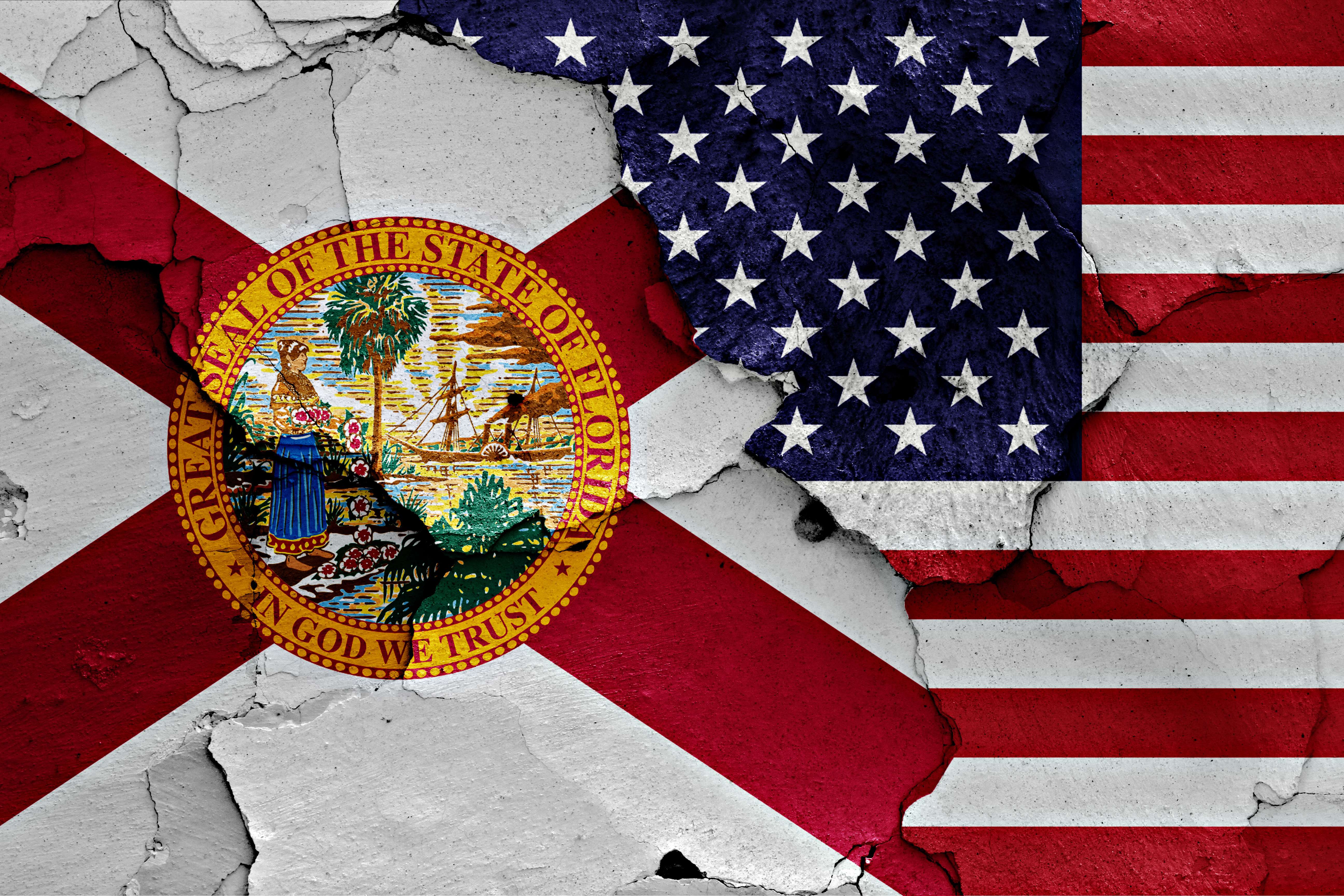flags of Florida and USA painted on cracked wall FLEXIT