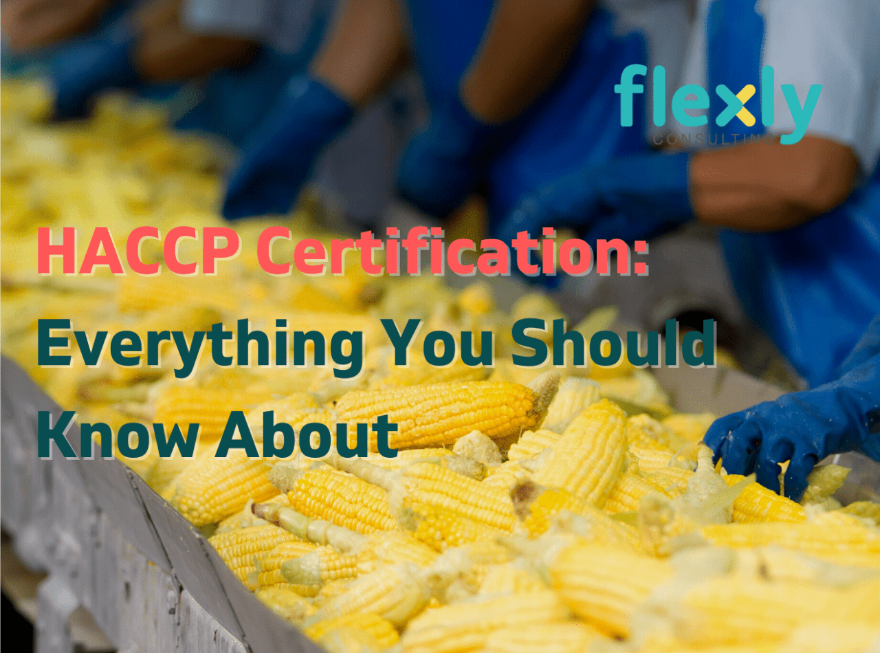HACCP Certification in Malaysia Everything You Should Know About
