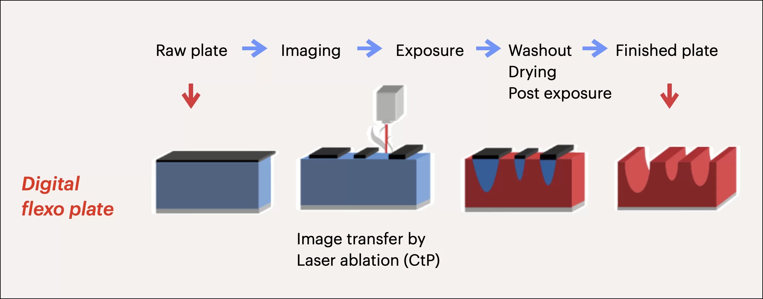Flexo Plate Printing Format