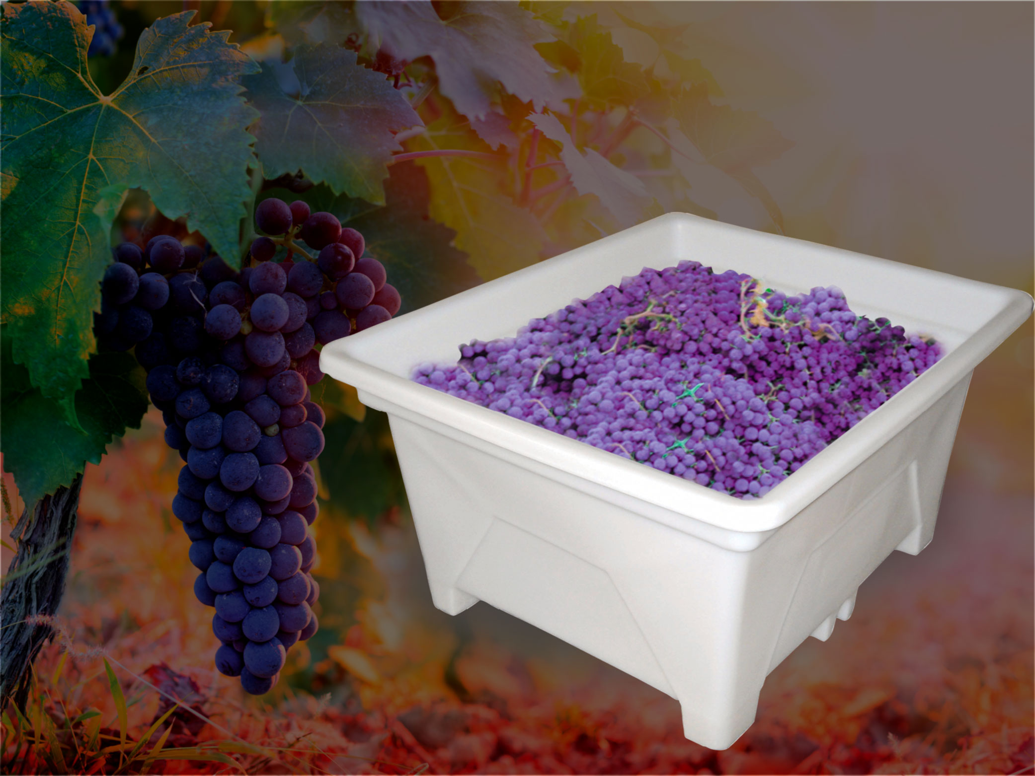 Wine Making Tanks Maturation Tanks Picking Bins Flextank