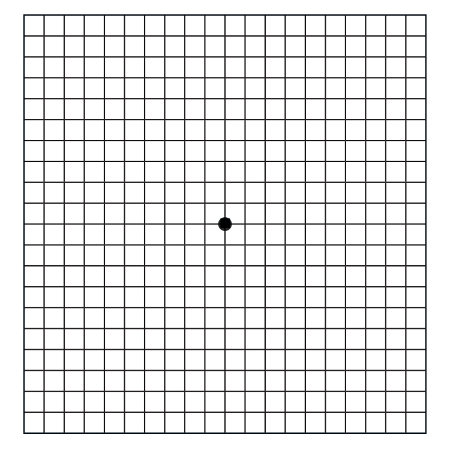 Amsler Grid With Instructions