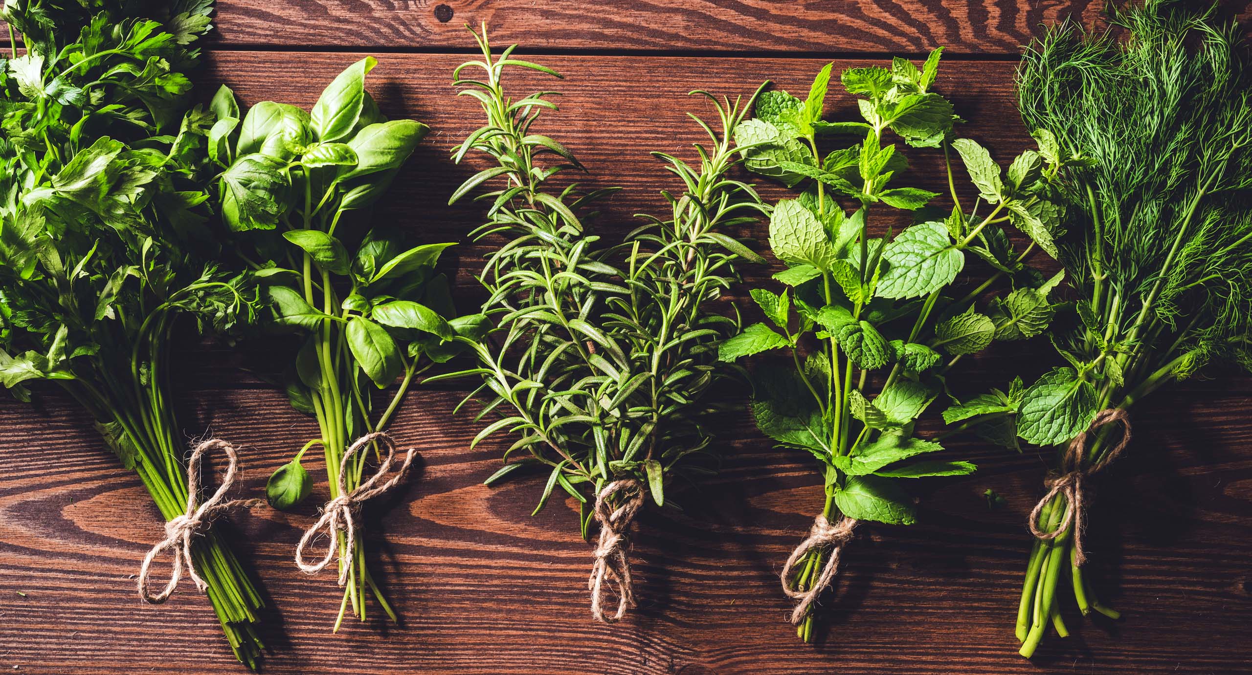 Herbs Florida Farm to You