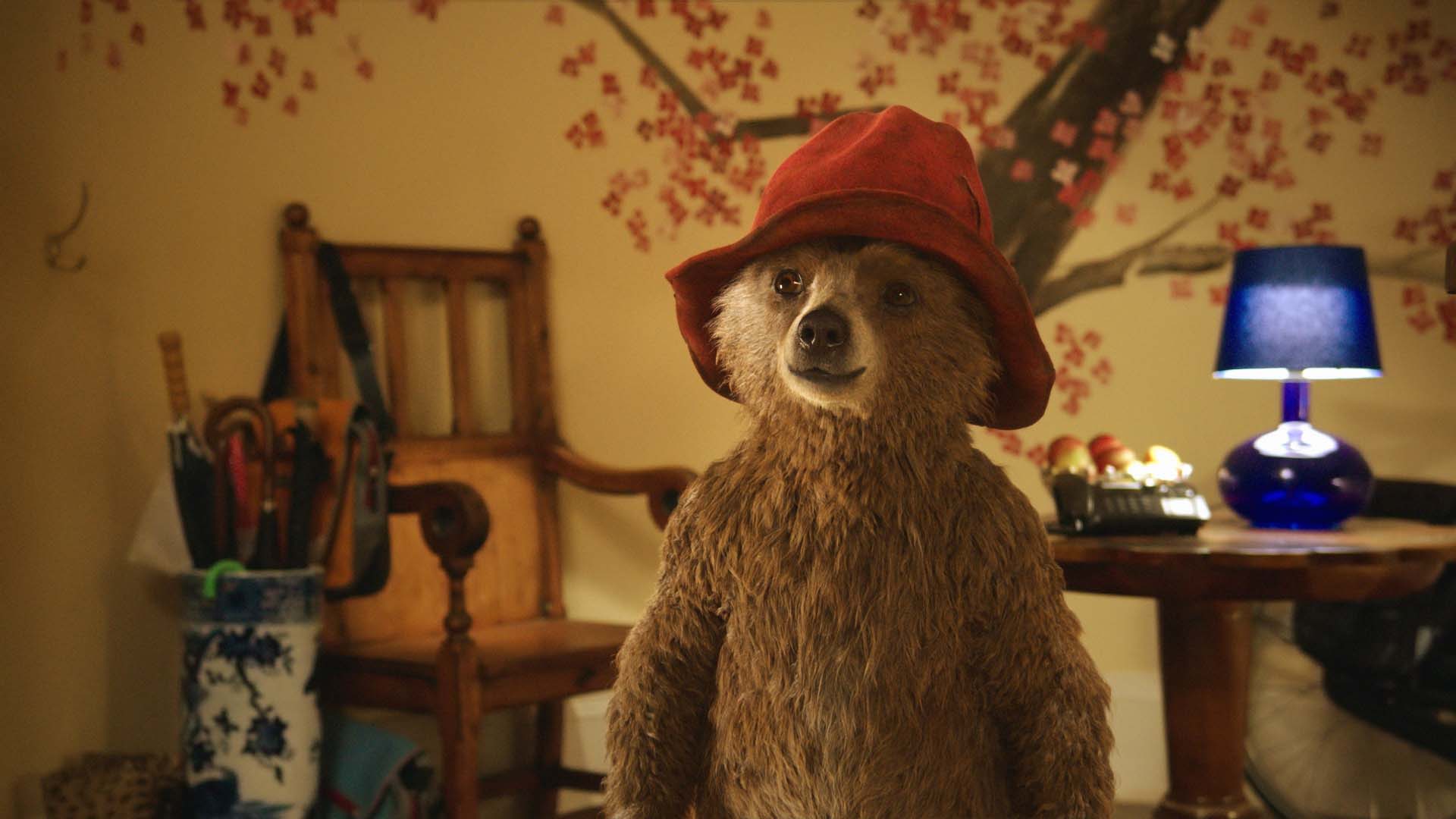 Paddington Bluray Review Flicks And The City
