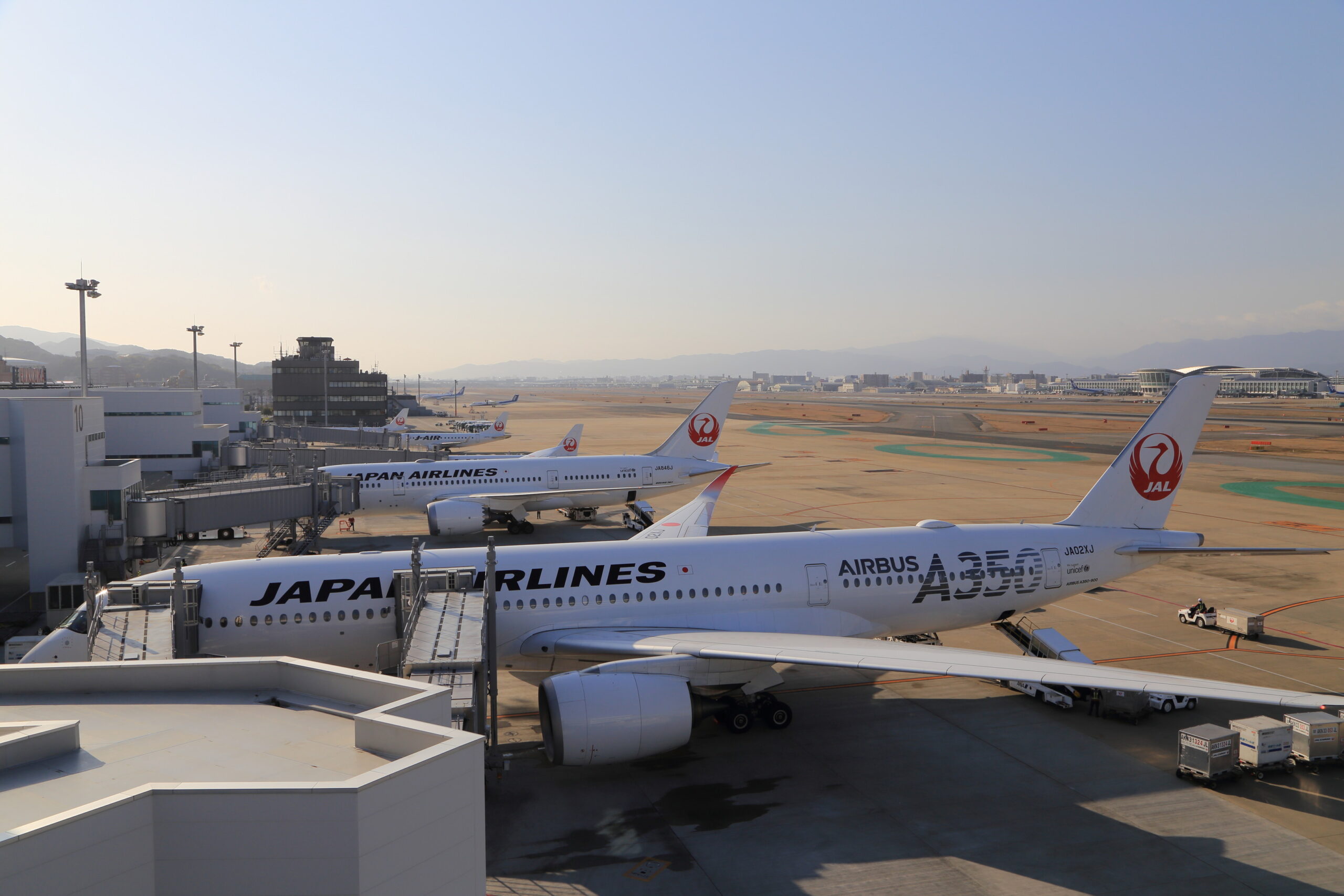 JAL国内線新運賃アナウンスのこと 大きなやかん…なみあし日記 / Trip with Flights