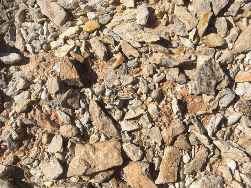 Gypcrete formation White Cliff Hill • Flinders Ranges Field Naturalists